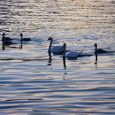 La Ca' Vegia Stresa