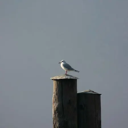 La Ca' Vegia Holiday home *