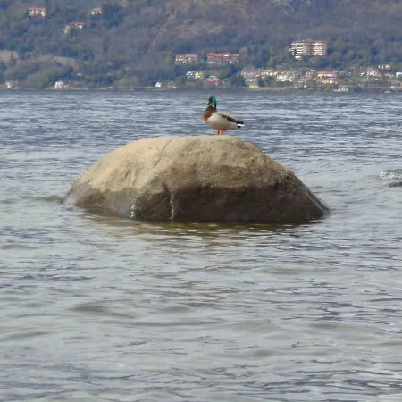 Ferienhaus La Ca' Vegia Stresa