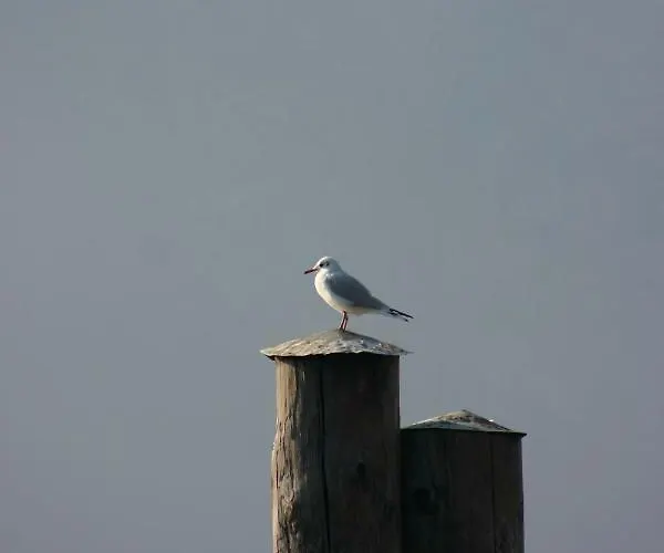 La Ca' Vegia Holiday home *