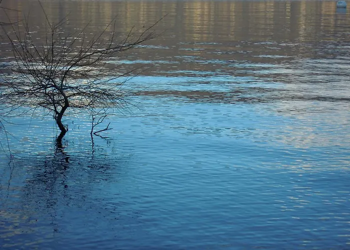 La Ca' Vegia Casa de Férias Stresa